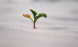 Featured image of post B2C